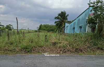 Cần bán lô đất 451.8m² mặt tiền đường nhựa HL 02 Kiểng Phước, Gò Công Đông gần KCN Gia Thuận 1-2